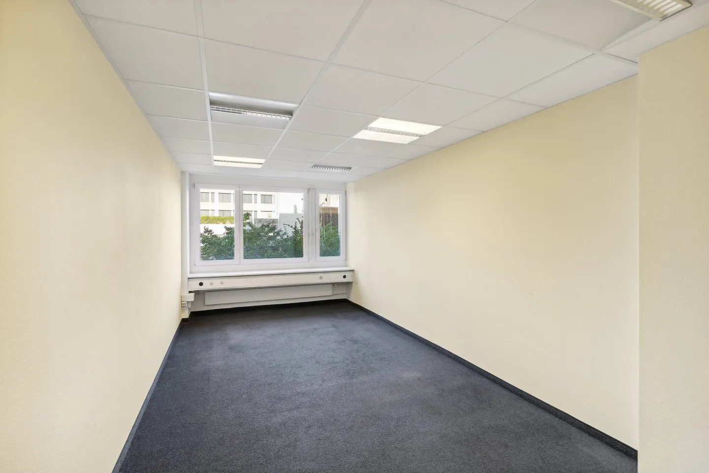 Representative business or residential address in the heart of Zurich! - Photo 31 of 45