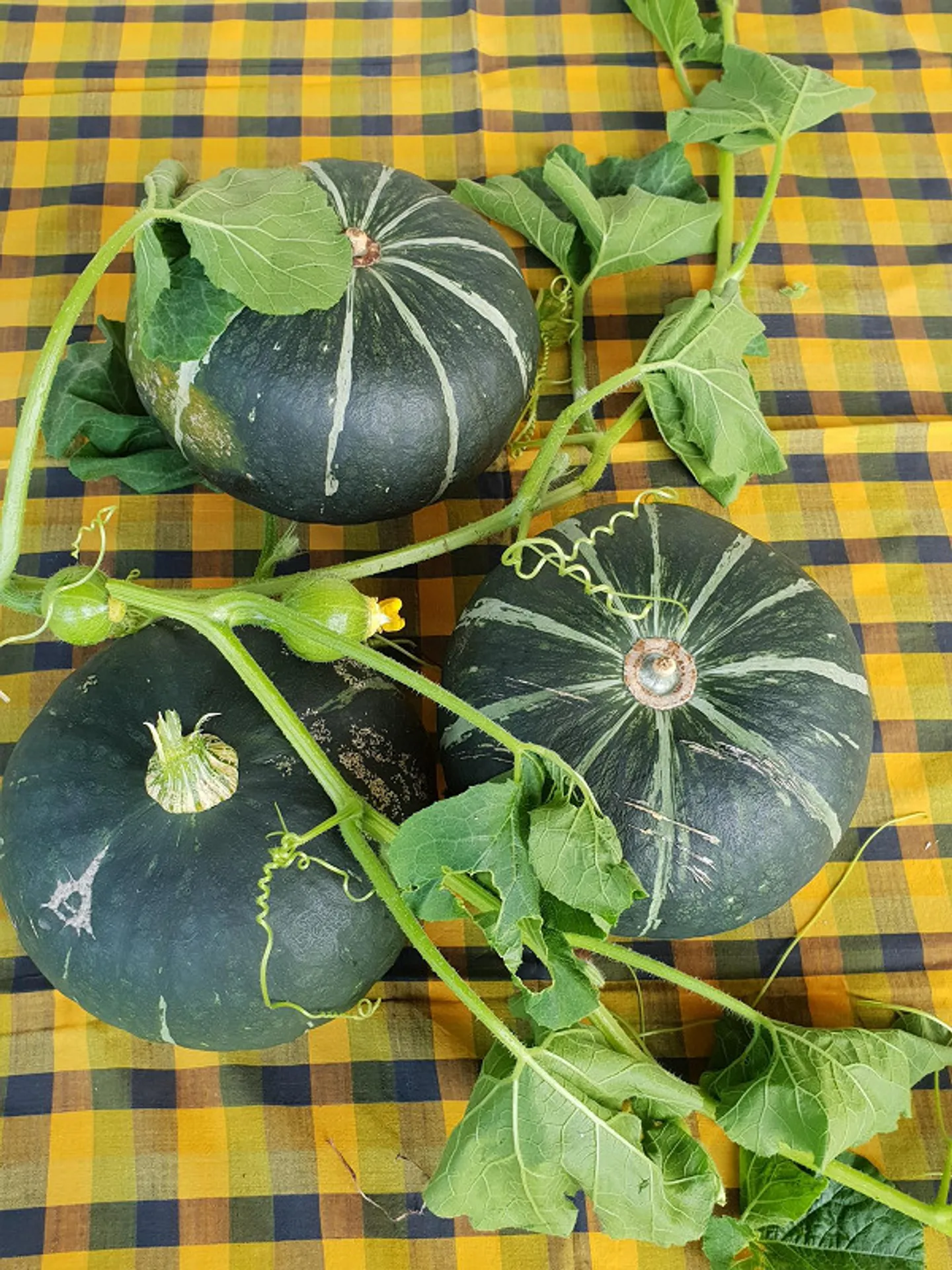 Stilvoll saniertes Tessinerhaus - Foto 14 von 30