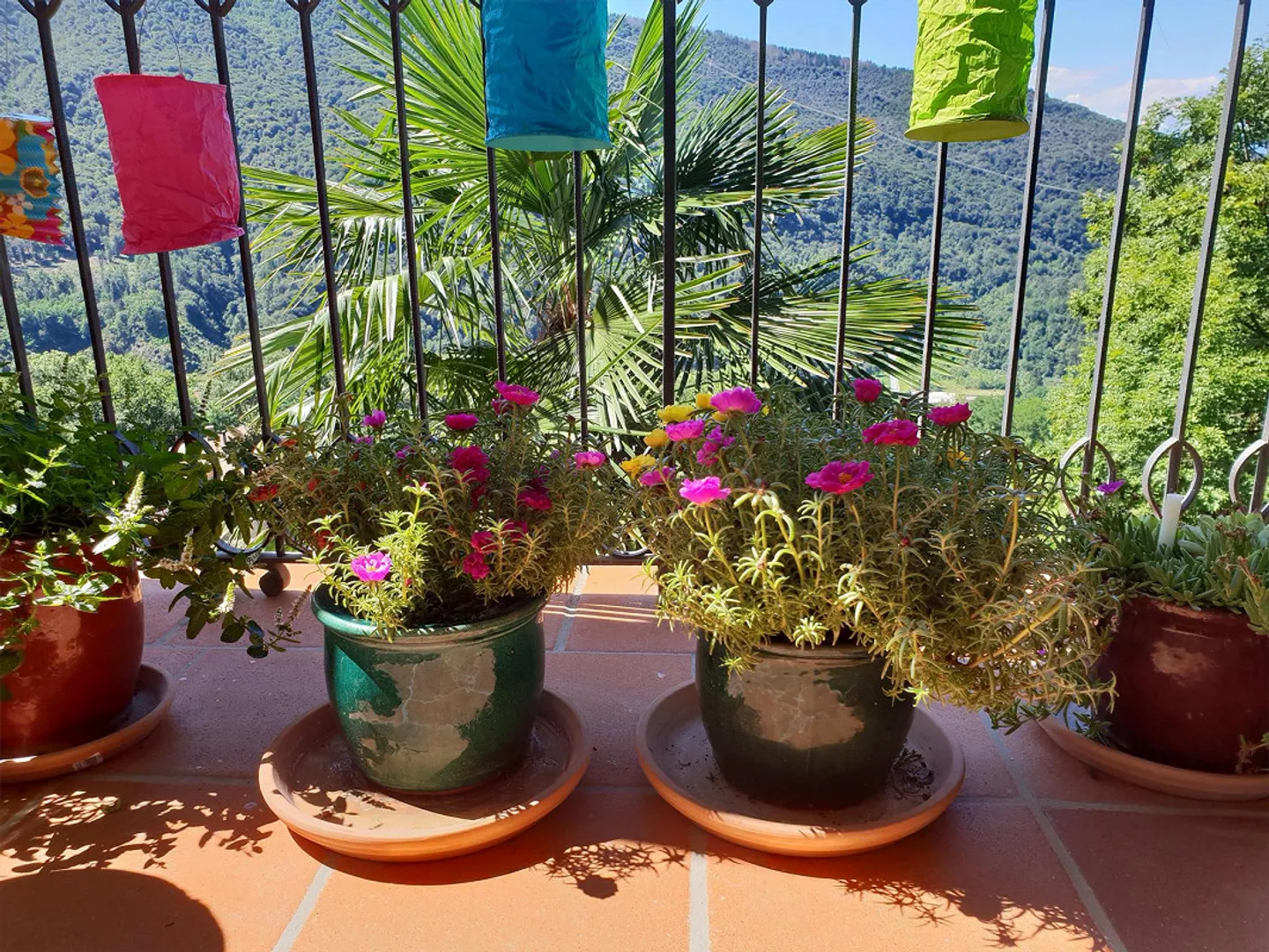 Stilvoll saniertes Tessinerhaus - Foto 10 von 30