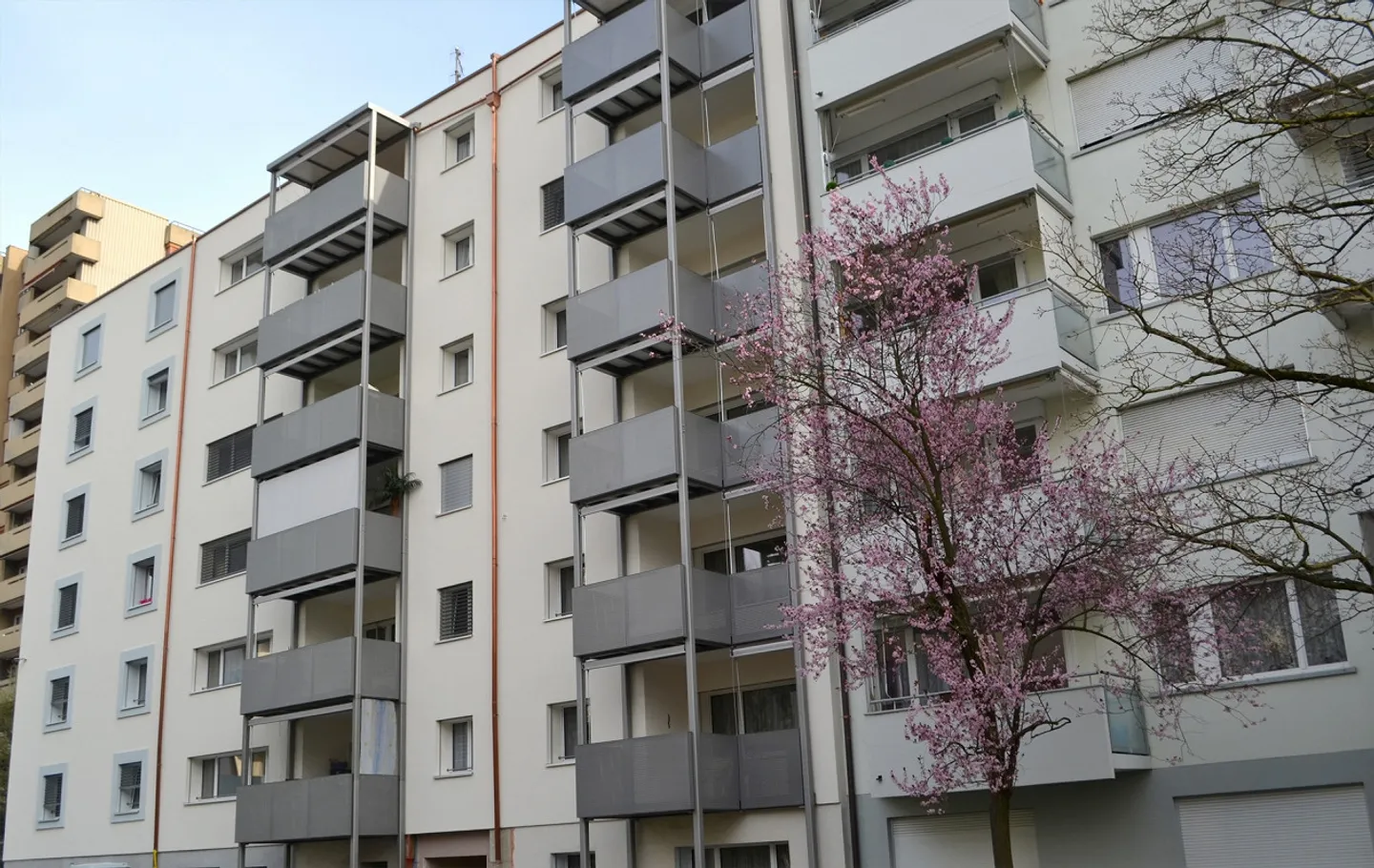 Charmante Wohnung in Basel - Foto 5 von 5