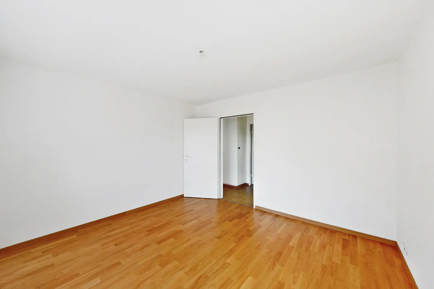 Charming 4.5-Room Apartment - Photo 5 of 10