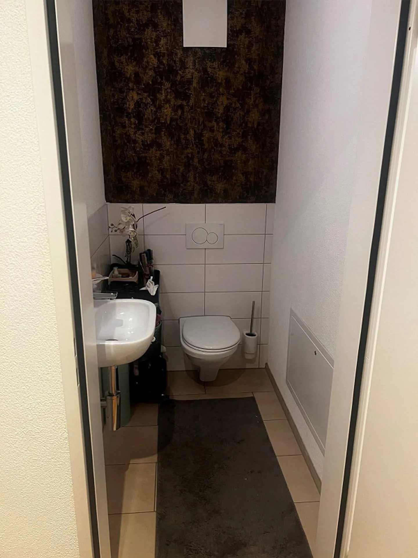 La plus belle vue de tout Lengnau ! - Photo 6 sur 10