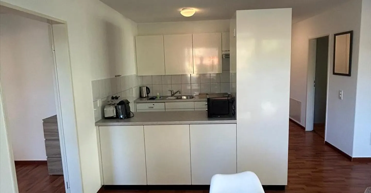 Neugasse 83 – Spacious Newly Furnished 2-Bedroom Apartment in the Heart of Zurich! - Photo 3 of 5