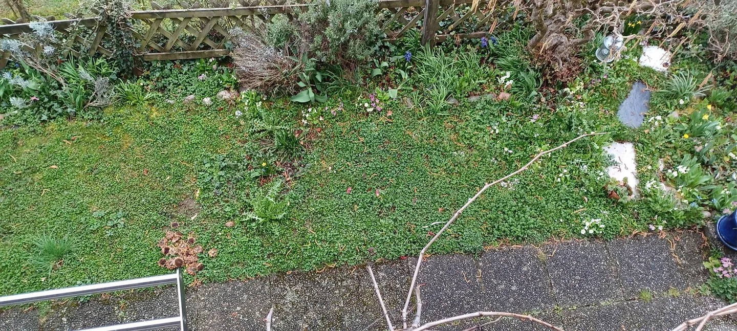 Moitié d'une maison double à louer à Hünibach avec 4 chambres - Photo 11 sur 14