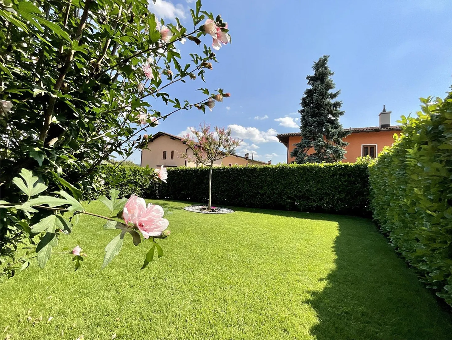 SAN PIETRO DI STABIO - WONDERFUL SINGLE-FAMILY HOUSE - Photo 9 of 13