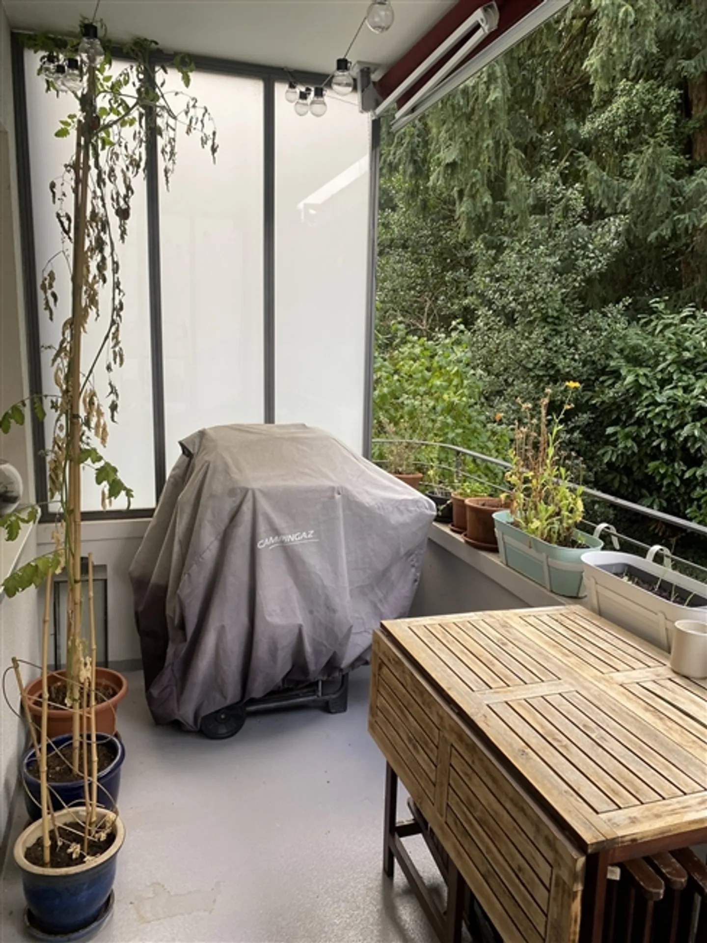 Möblierte Wohnung in Bern - Foto 6 von 6