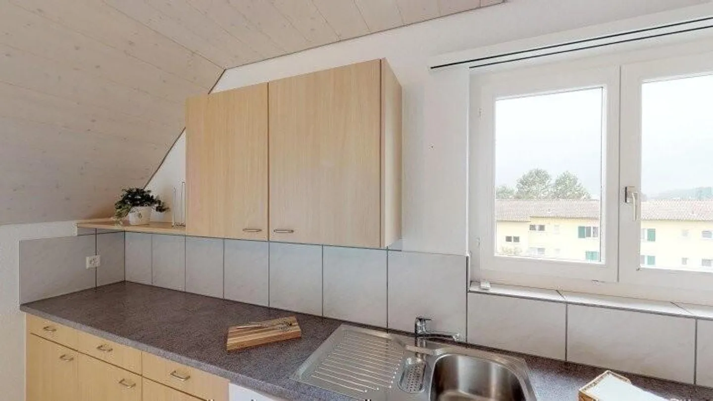 Spacious Penthouse Apartment with Gallery - Photo 4 of 9