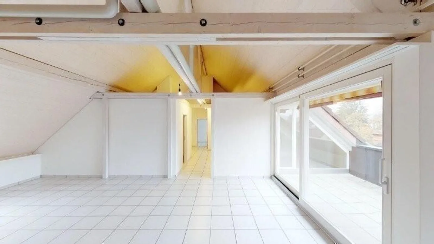 Spacious Penthouse Apartment with Gallery - Photo 5 of 9