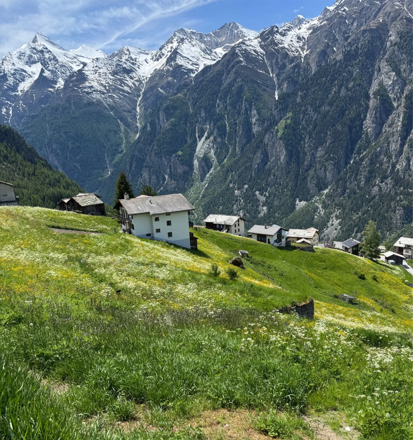 Terreno edificabile 1011 m2 - Foto 1 di 1