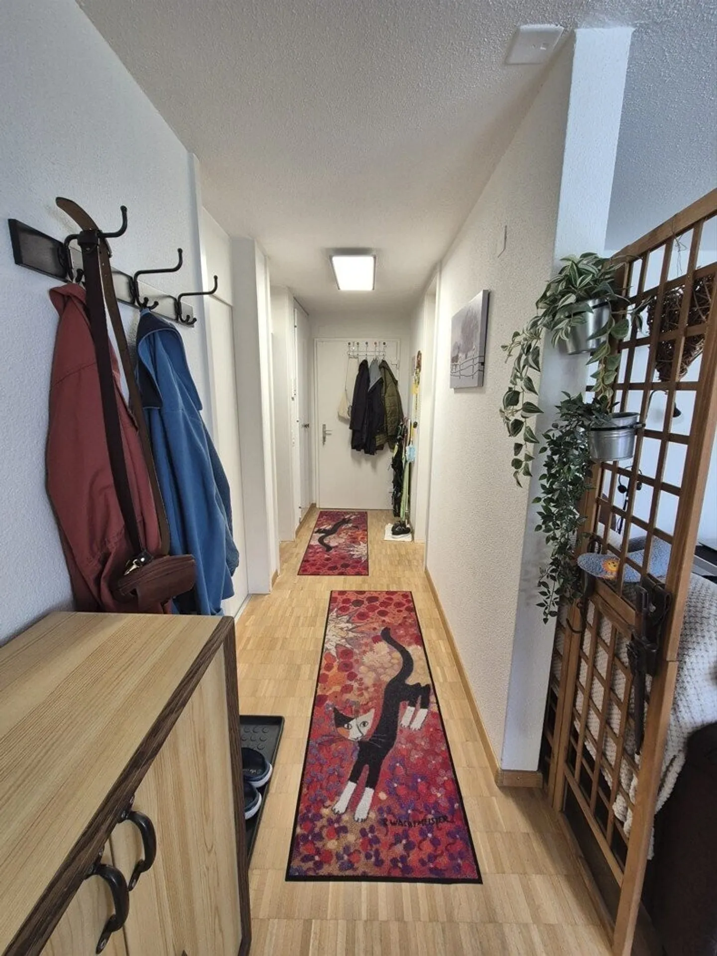 Appartamento in affitto - Foto 7 di 7