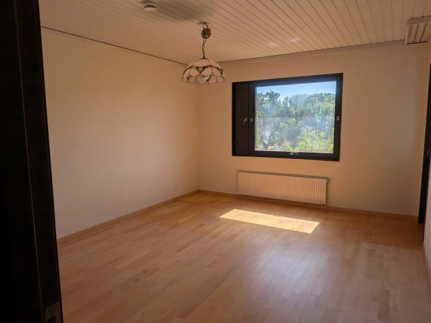 Beautiful 4.5 Room Corner House with Garden - Photo 10 of 15