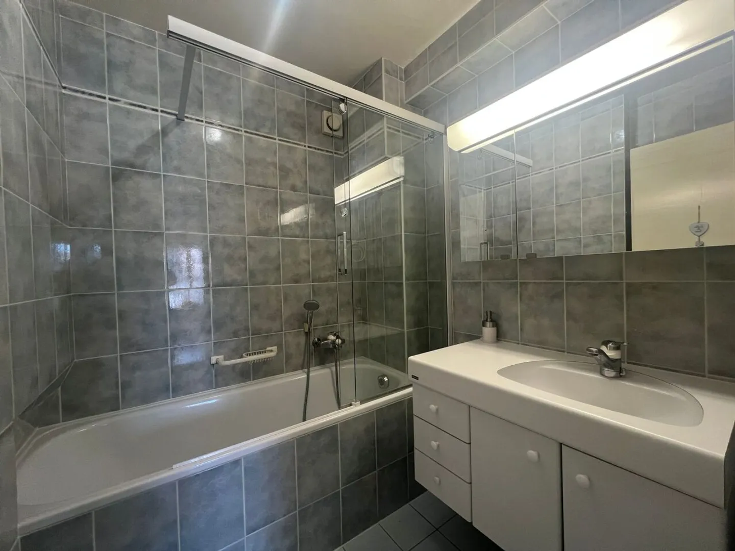 Spacious Duplex Near Geneva - Photo 9 of 13