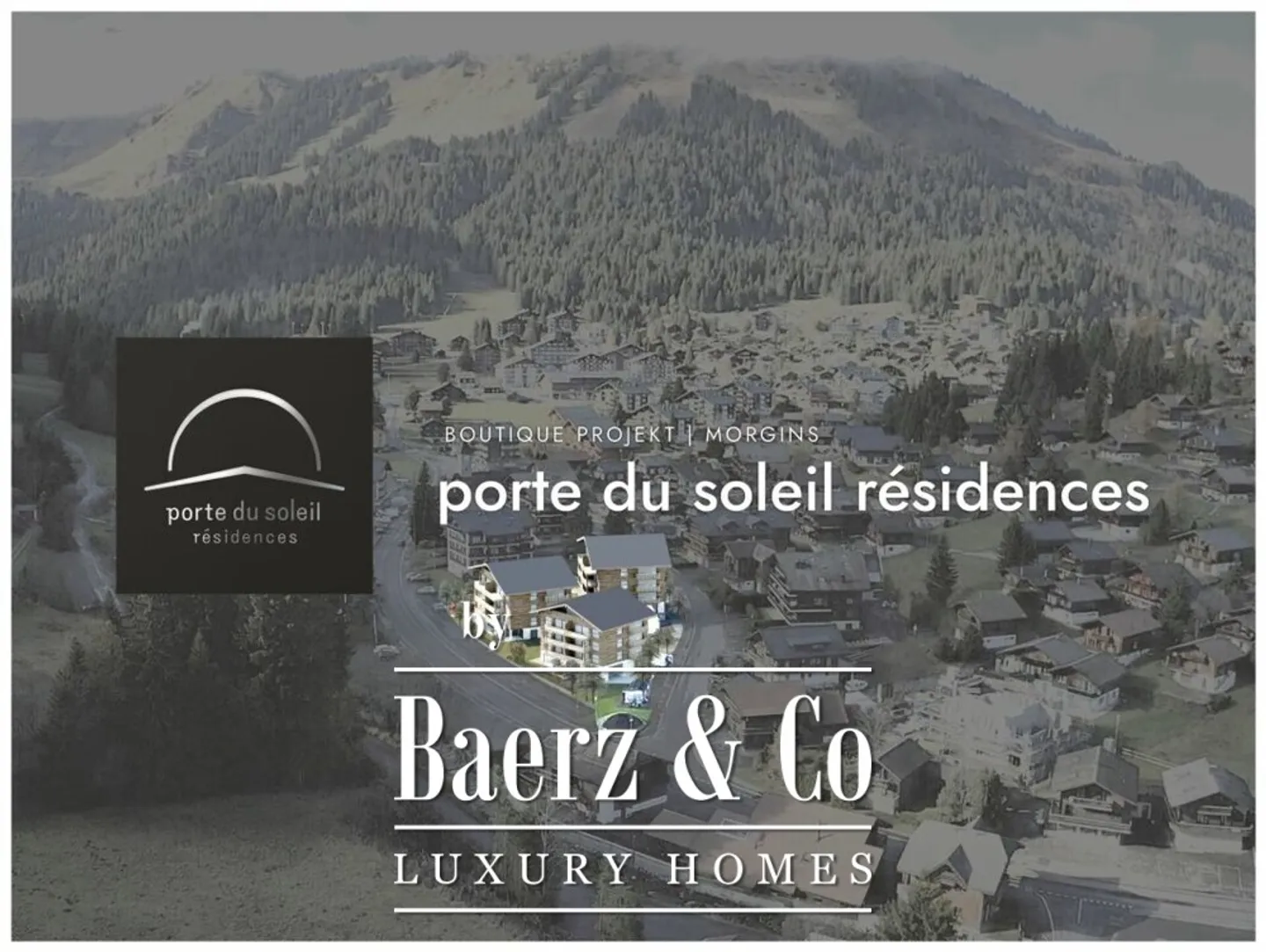 Luxury Apartment in Morgins - Photo 11 of 11