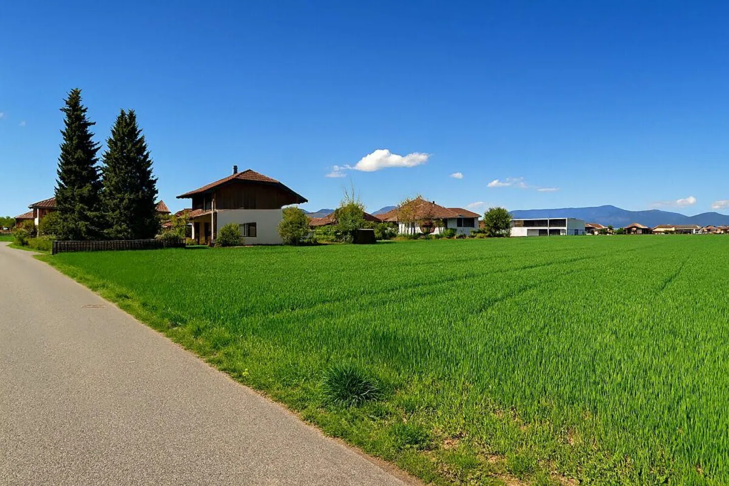 Beautiful plot in a quiet location - Photo 1 of 1