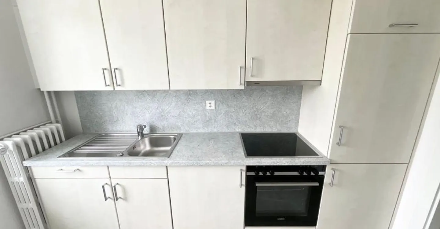 Renovierte 3-Zimmer-Wohnung mit privater Terrasse - Foto 1 von 7