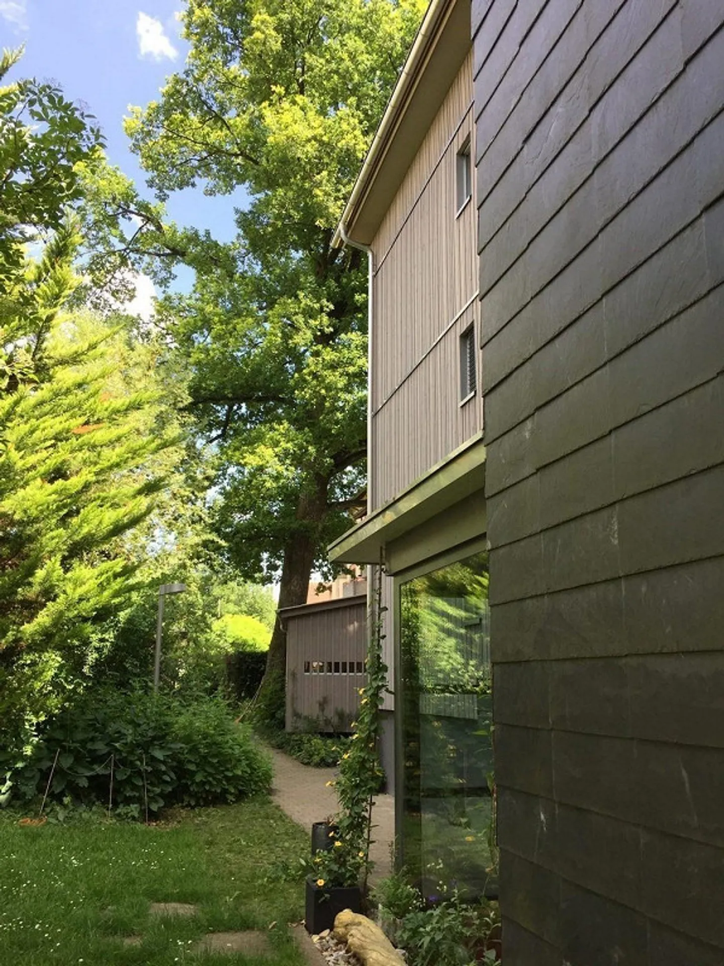 Helle Wohnung in ruhiger Lage - Foto 8 von 12