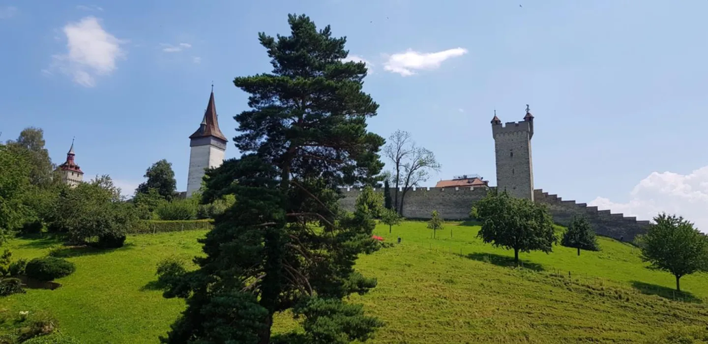Vivre avec vue sur le mur de Musegg - Photo 10 sur 10