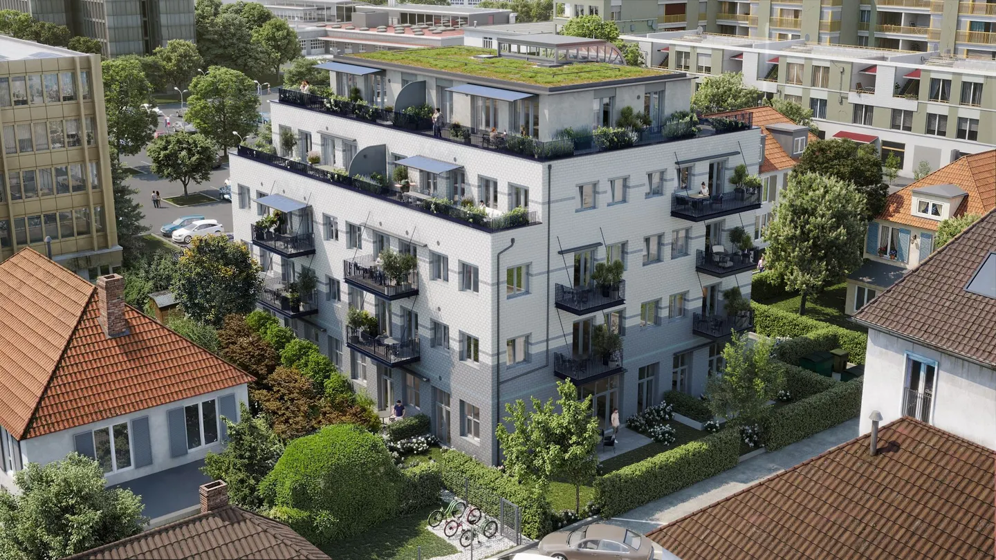 First rental: Gorgeous terrace apartment with a view of Uetliberg - Photo 9 of 10