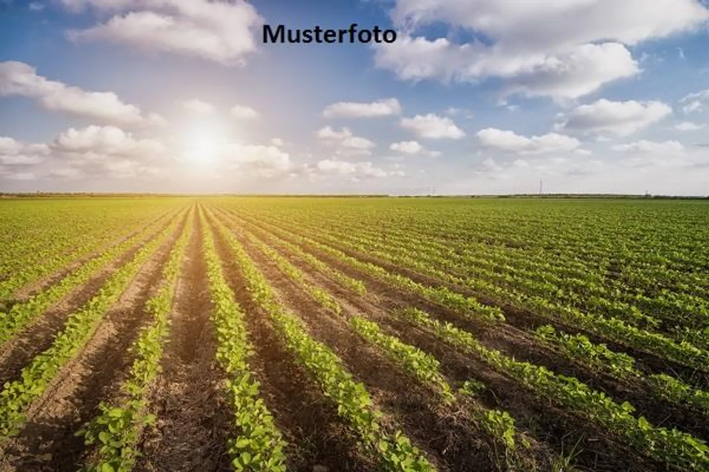 Habitation - Photo 1 of 13