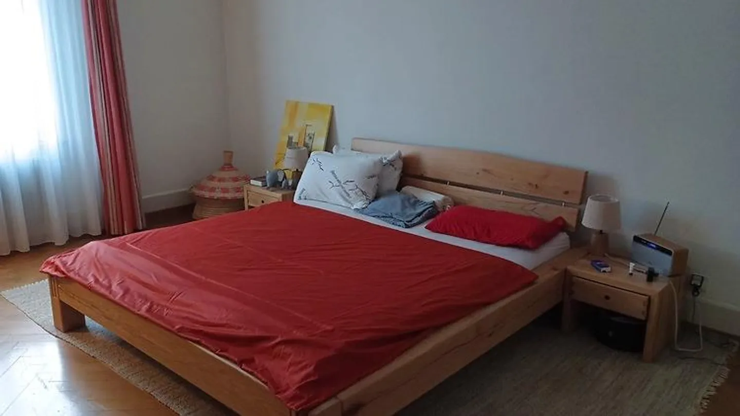 APPARTAMENTO 2 STANZE A BERN - OBSTBERG/SCHOSSHALDE, ARREDATO, TEMPORANEO - Foto 6 di 9
