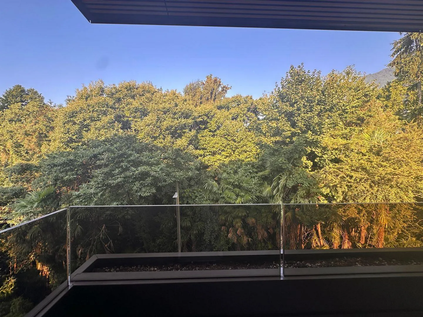 Live in tranquility with lake view – Elegant 2.5 rooms in Minusio - Photo 17 of 20