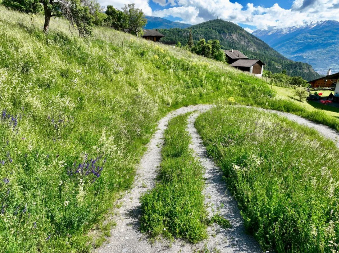 Baugrundstück in der Natur - Foto 3 von 5