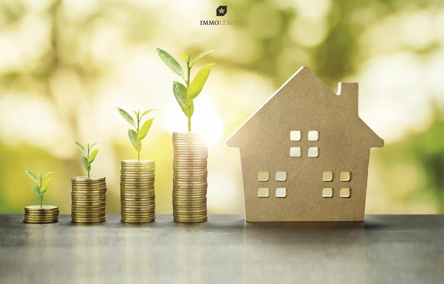 Investitionsmöglichkeit in Seenähe - Foto 2 von 5