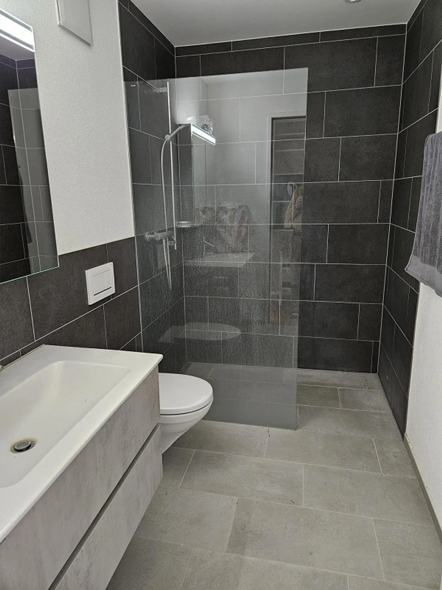 Appartement attrayant de 4,5 pièces directement à la gare d'Arth-Goldau et au parc animalier - Photo 4 sur 10