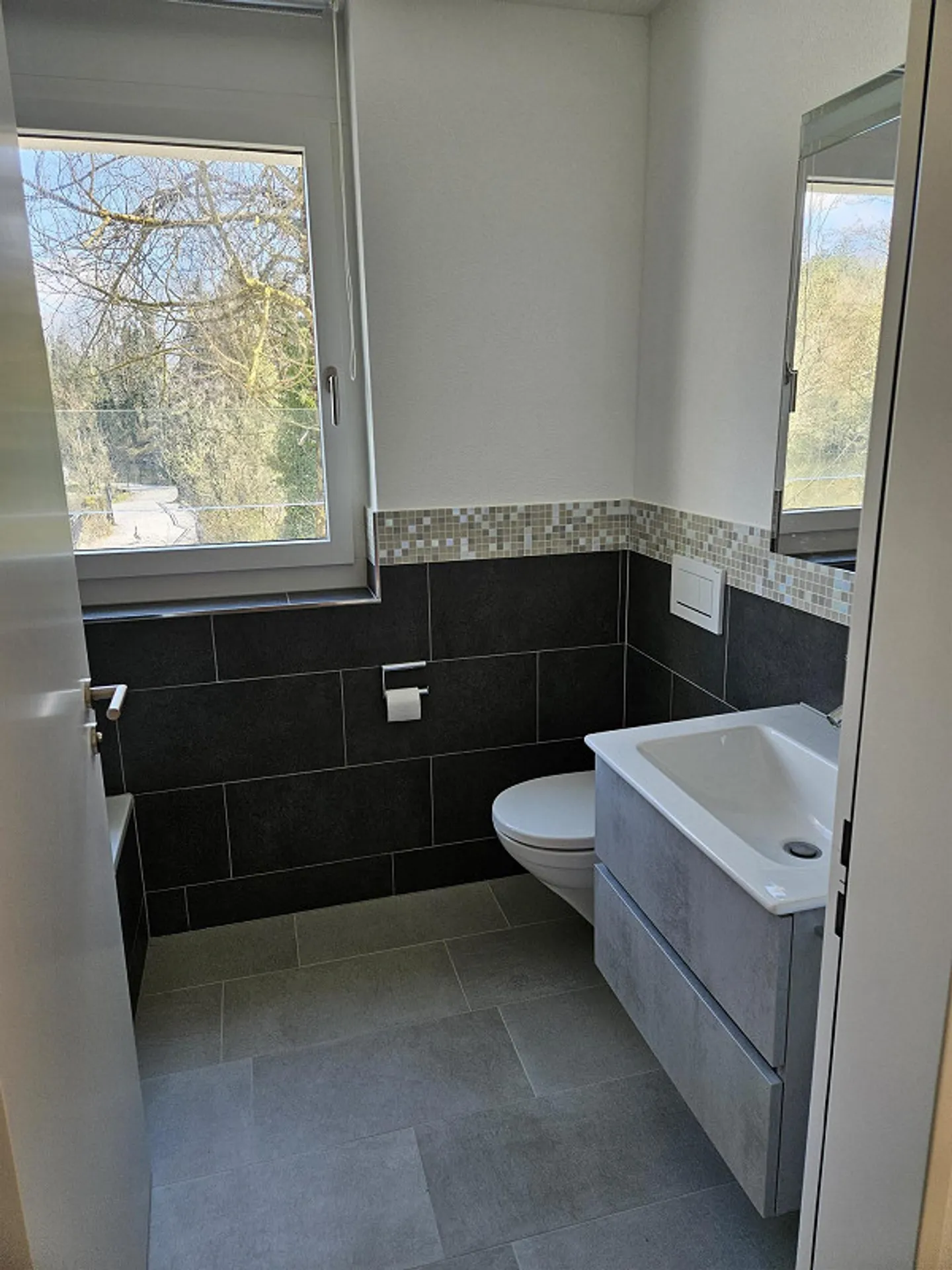 Appartement attrayant de 4,5 pièces directement à la gare d'Arth-Goldau et au parc animalier - Photo 5 sur 10