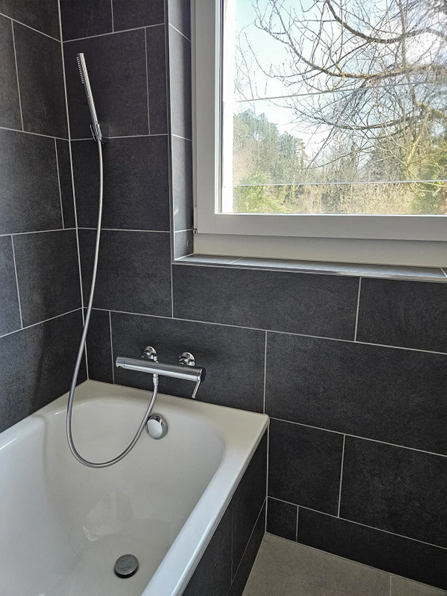 Appartement attrayant de 4,5 pièces directement à la gare d'Arth-Goldau et au parc animalier - Photo 7 sur 10