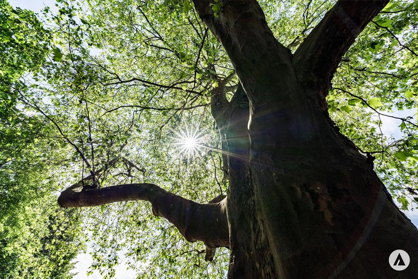 New Construction Project Terra: 4½/3½ Room Apartment on the 2nd Floor - Photo 10 of 13