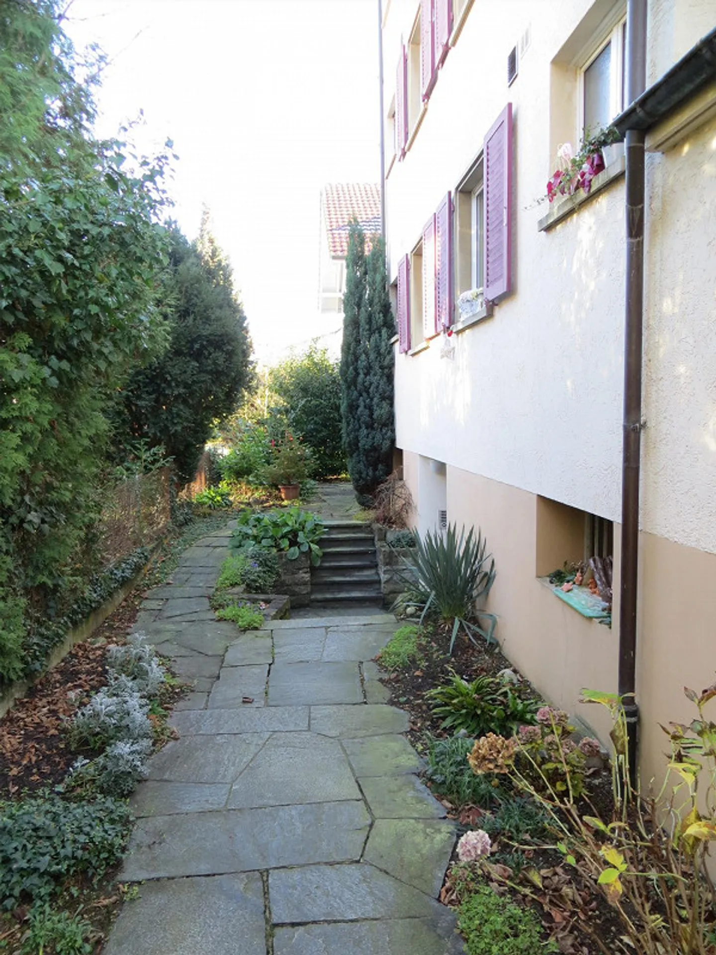 Renovierte Wohnung in ruhiger Lage - Foto 4 von 26