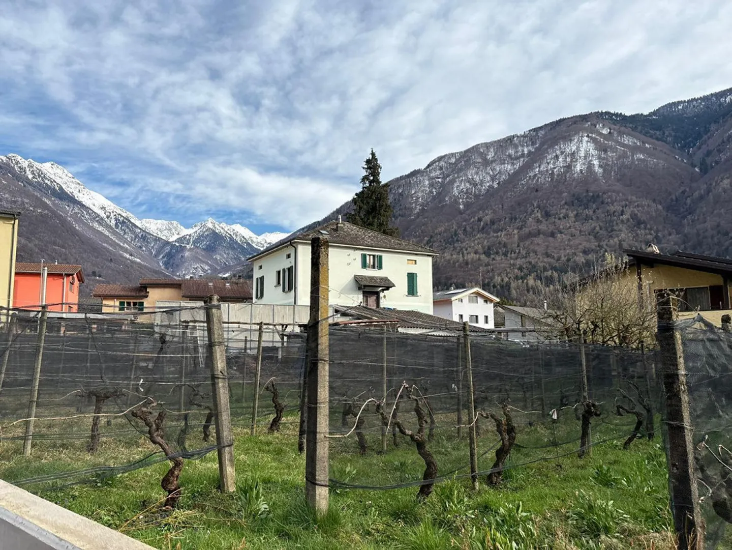 2 1/2-Room Penthouse Apartment - Photo 18 of 25