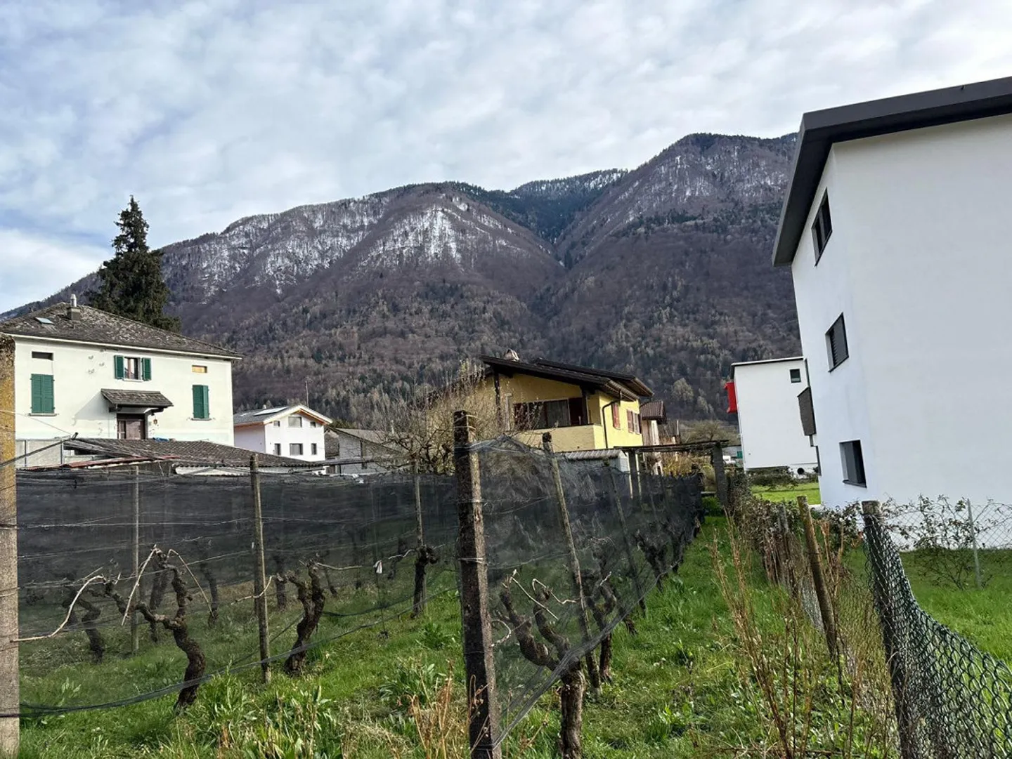 2 1/2-Room Penthouse Apartment - Photo 15 of 25