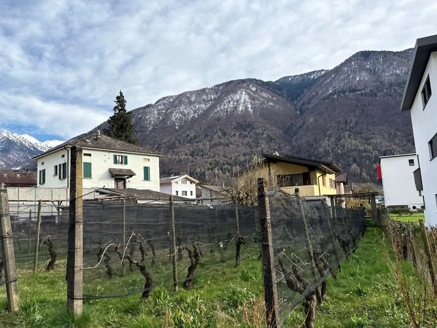 2 1/2-Room Penthouse Apartment - Photo 17 of 25
