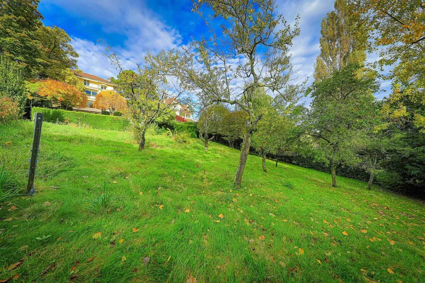 Proprietà eccezionale nel cuore di un quartiere residenziale - Foto 8 di 12