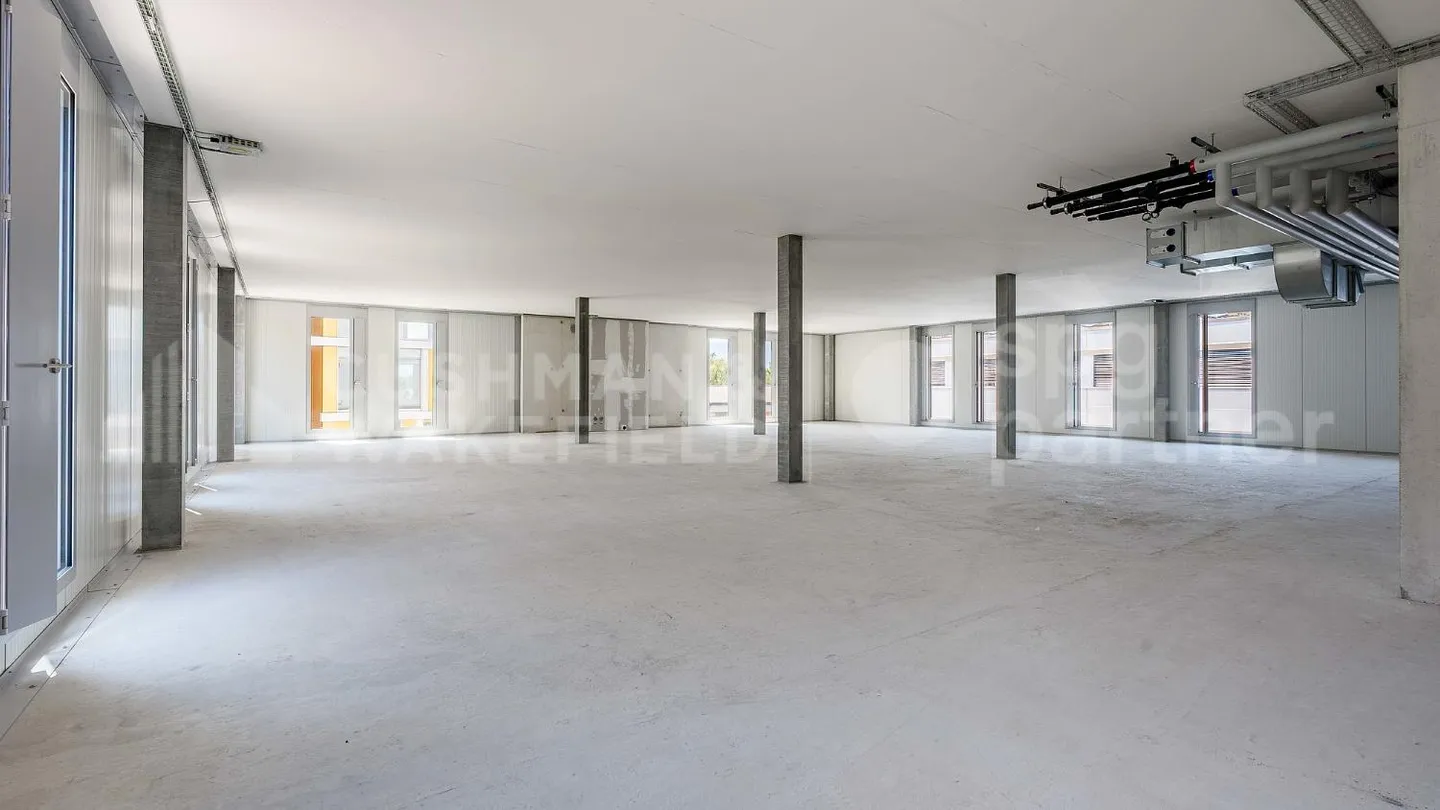 Quarz'Hub - Industrie- und Handwerksgebäude zur Miete in Vernier - Foto 13 von 13