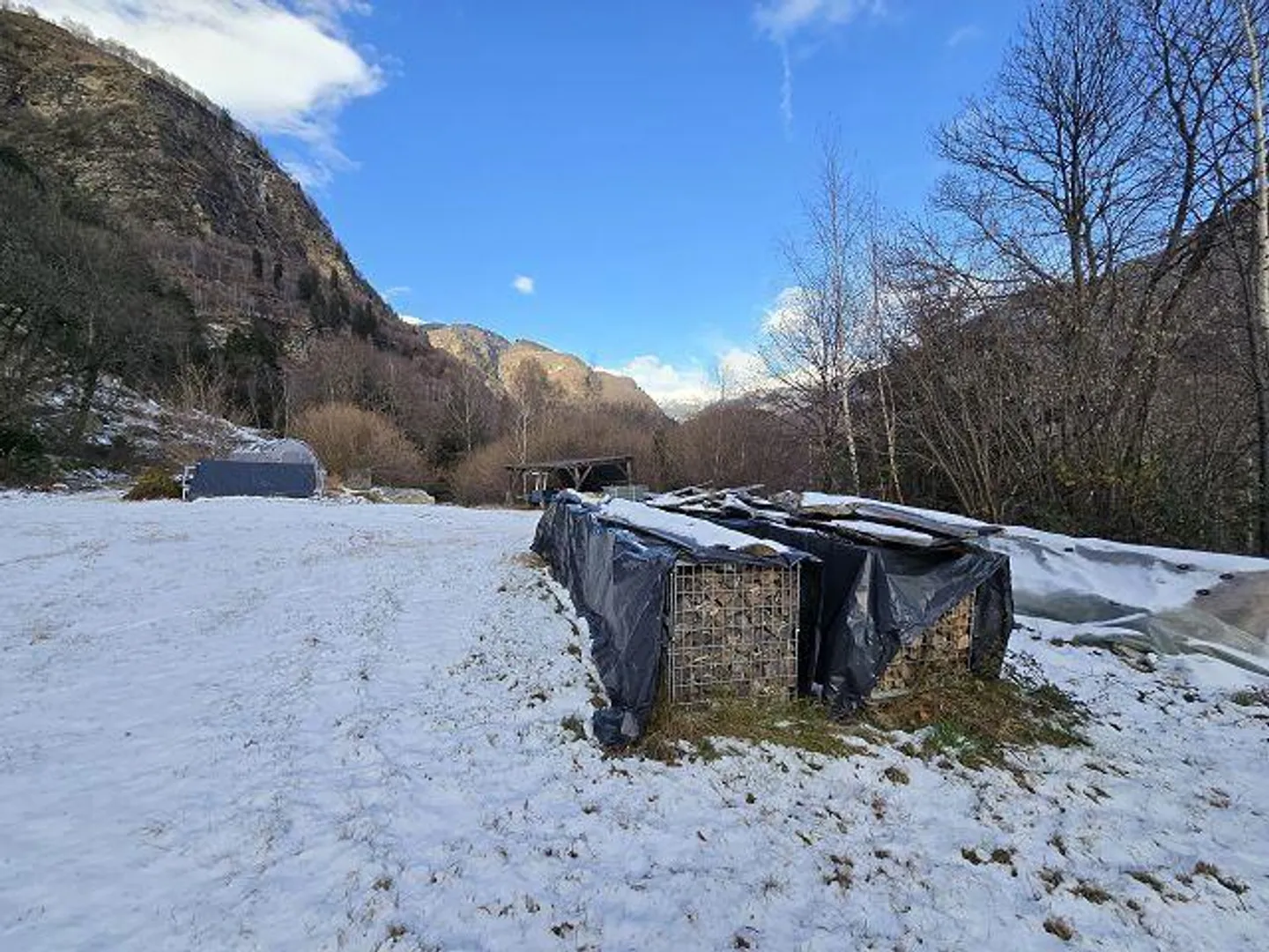 Three buildings in a secluded location with plenty of land ideal for animal husbandry - Photo 32 of 48