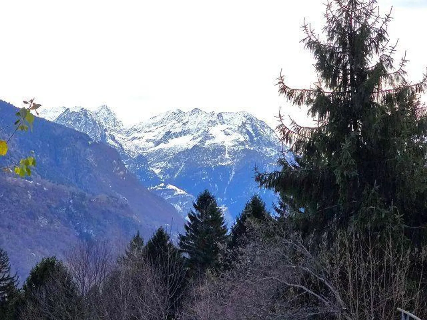 Three buildings in a secluded location with plenty of land ideal for animal husbandry - Photo 34 of 48