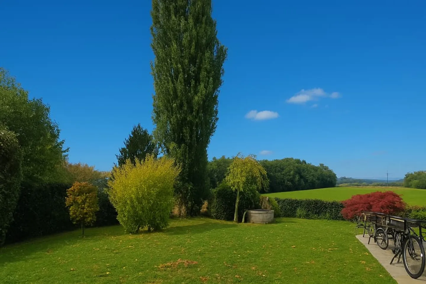 A rare gem. Individual house of 7.5 rooms for sale - Photo 3 of 13