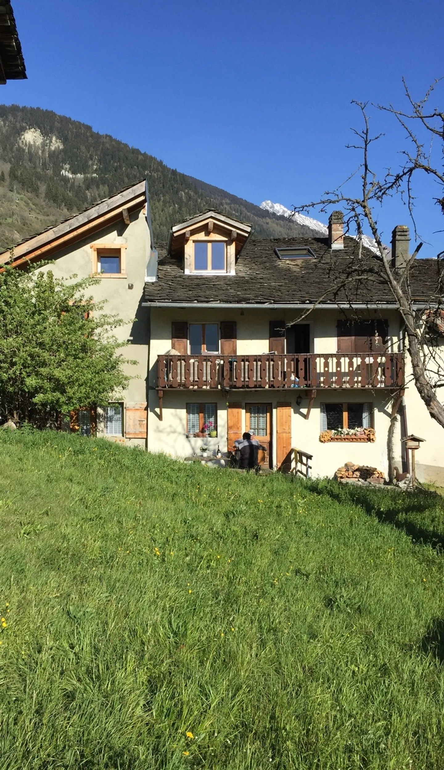 Traditional chalet with 3 apartments - Photo 1 of 18