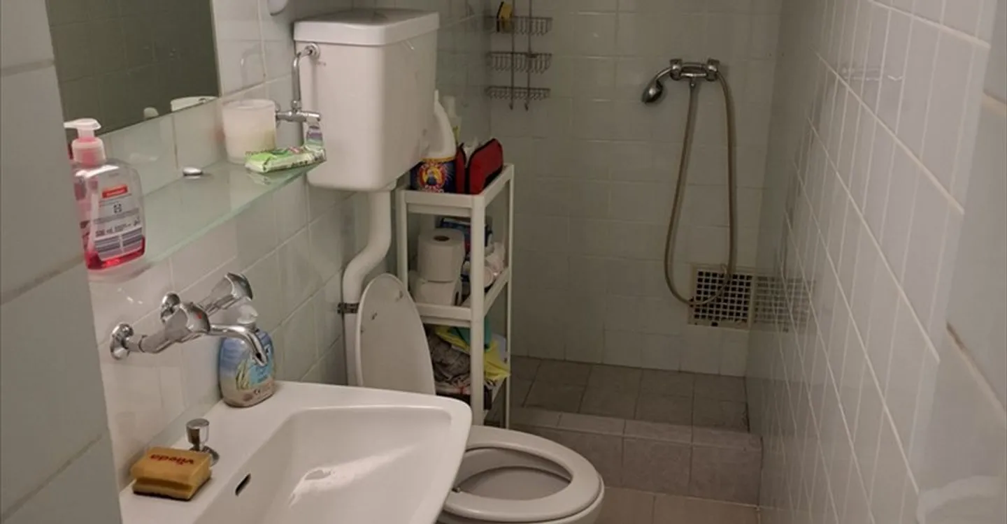 Mixed-use building for rent - Photo 9 of 11