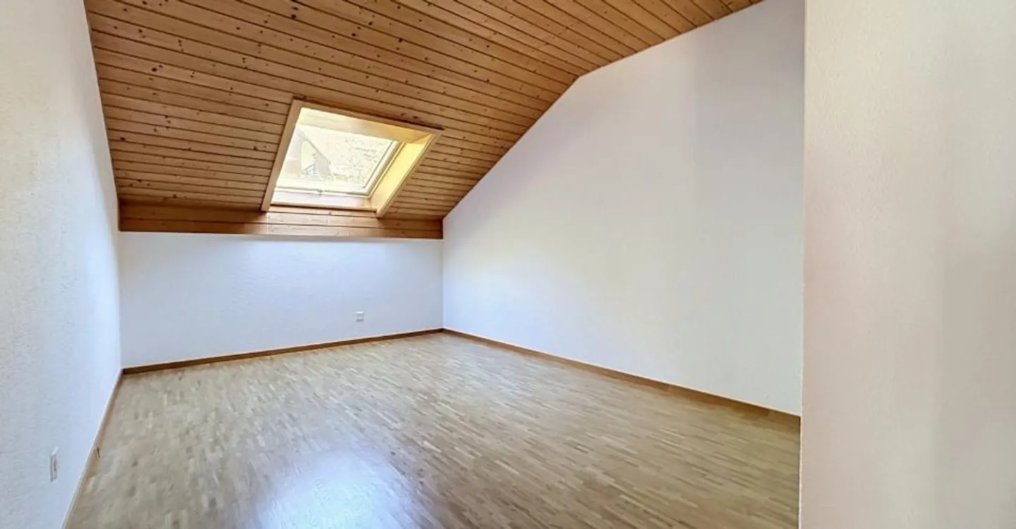 Stunning 4-Room Apartment - Photo 1 of 9