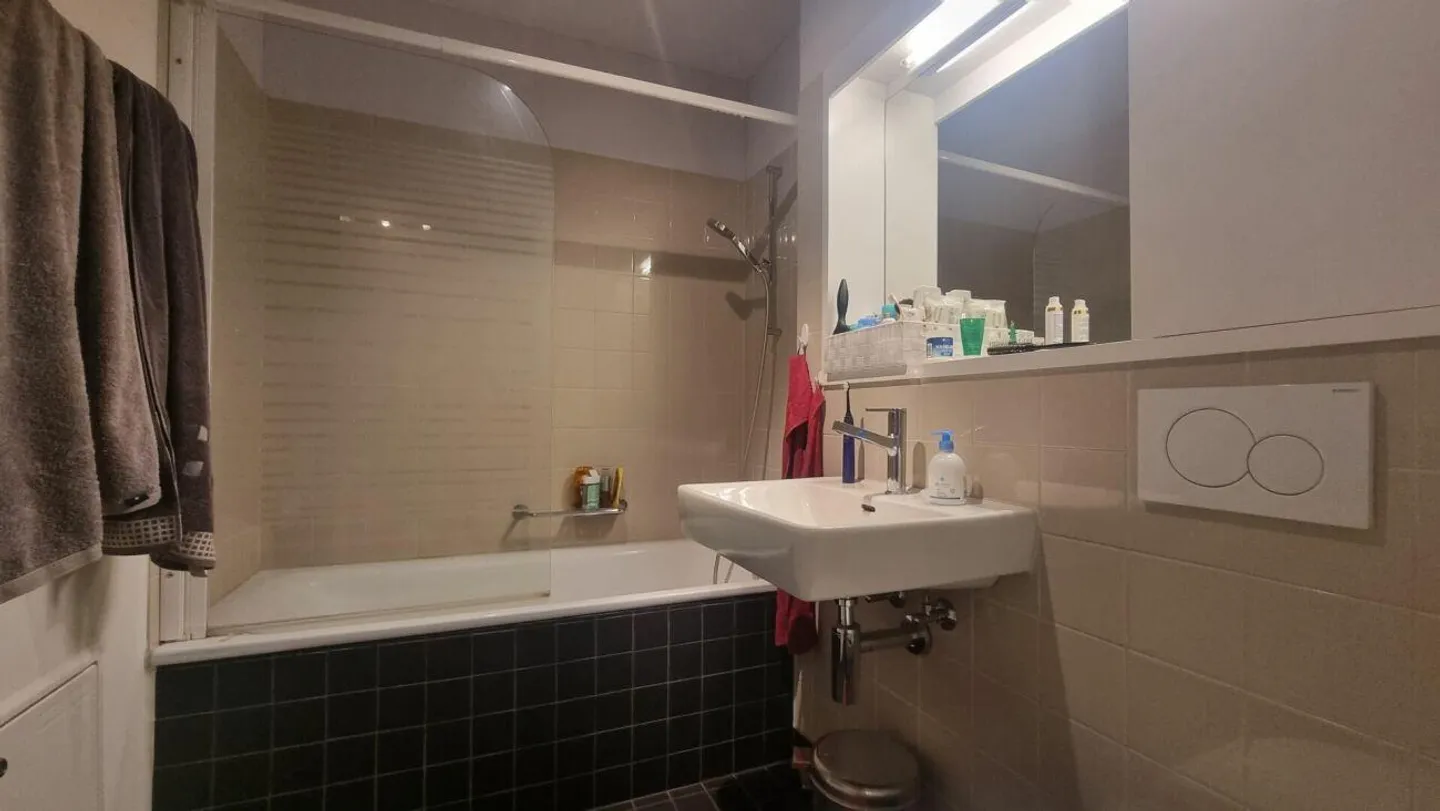 Appartamento 2.5 stanze al 3° piano - Foto 5 di 5