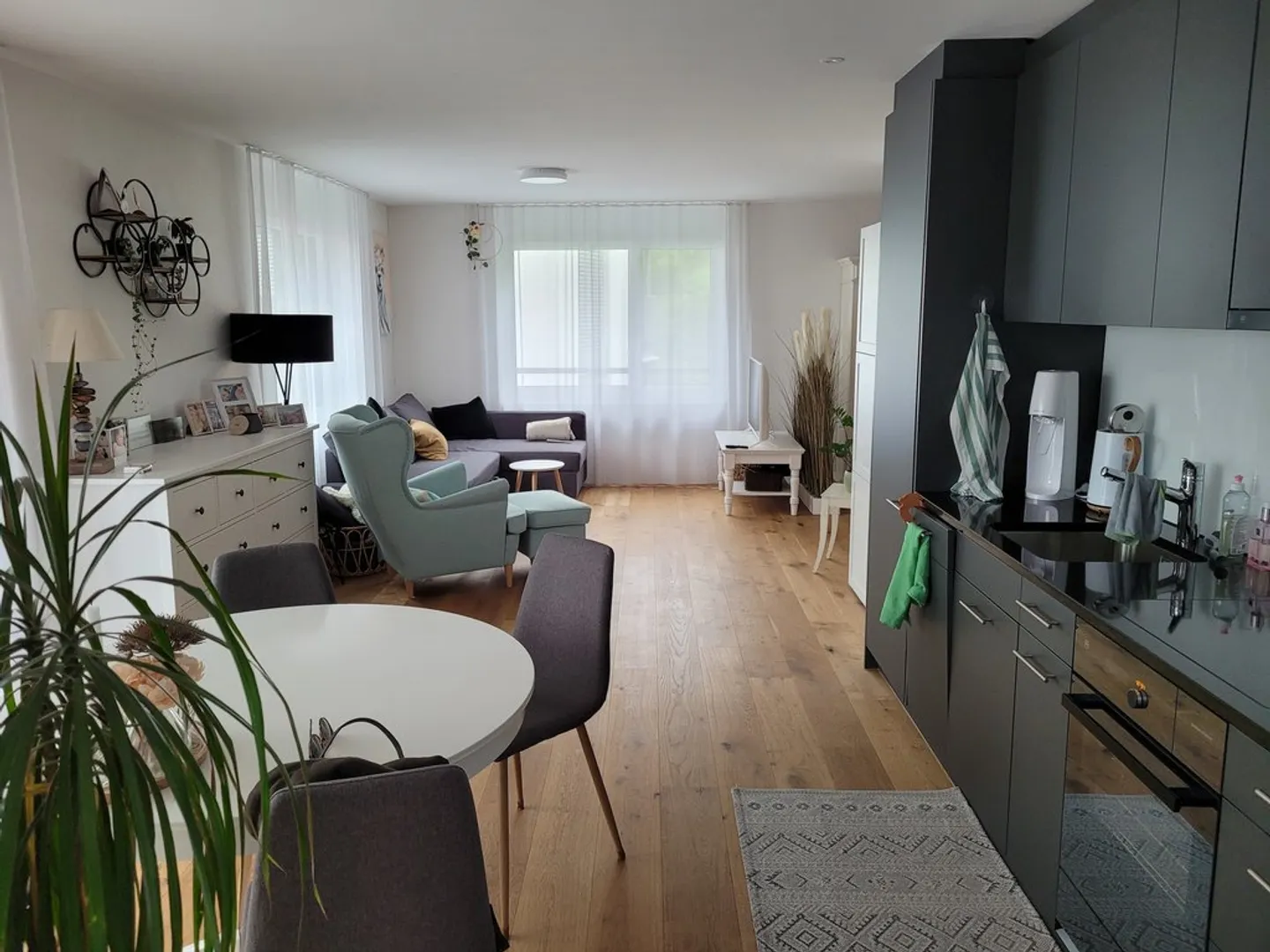Appartement moderne de 1.5 pièce à Rotkreuz - Photo 1 sur 3