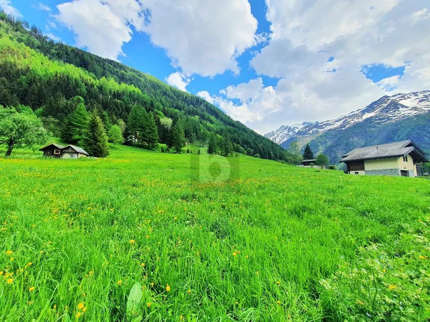 TERRAINS CONSTRUCTIBLES, AGRICOLES ET FORESTIERS - Photo 1 of 4