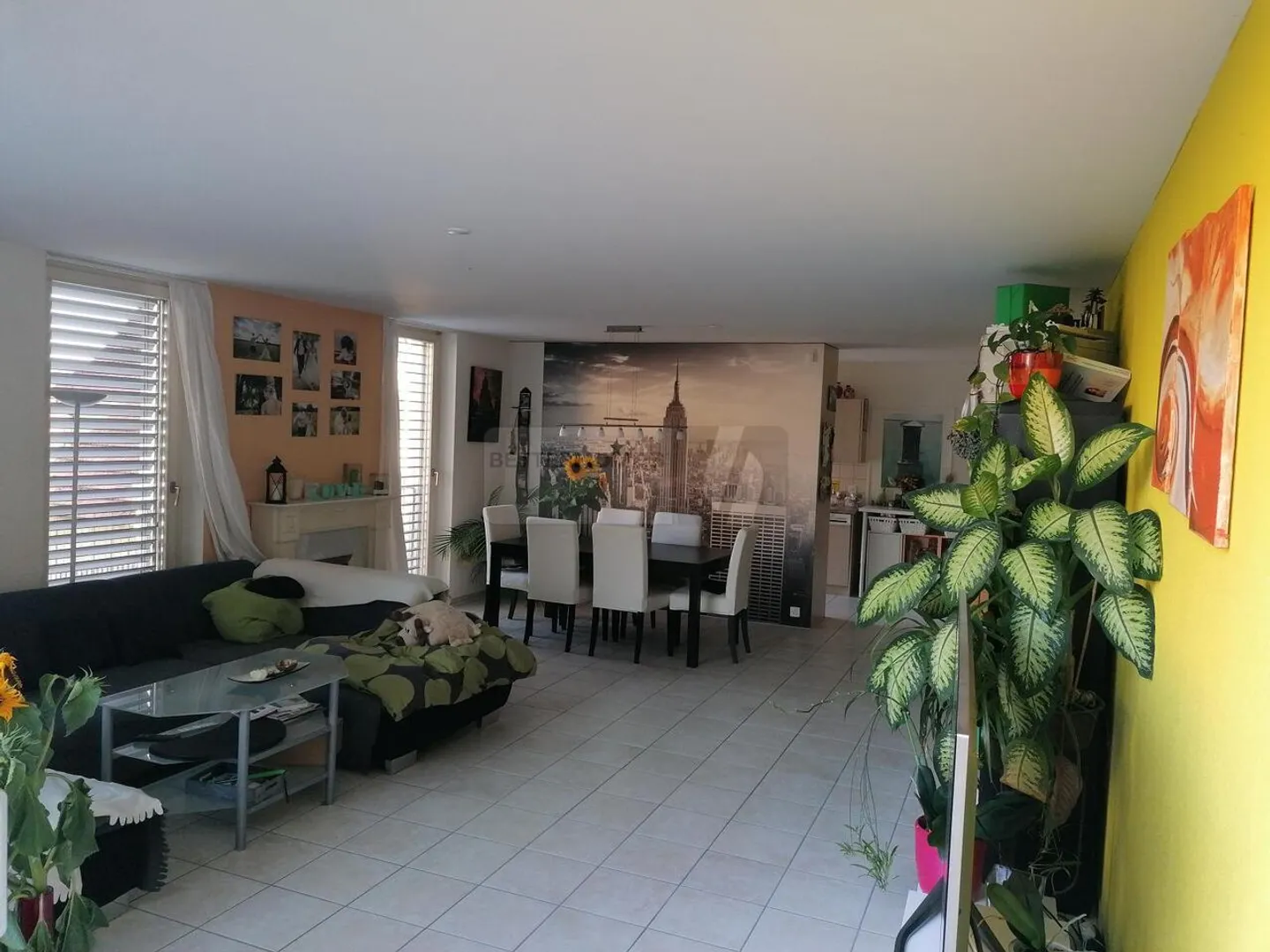 SOLEGGIATO, TRANQUILLO E CON UNA GRANDE TERRAZZA - Foto 2 di 6