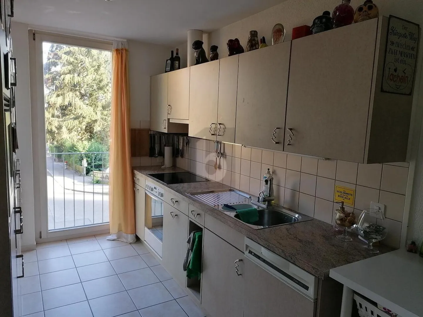 SOLEGGIATO, TRANQUILLO E CON UNA GRANDE TERRAZZA - Foto 3 di 6