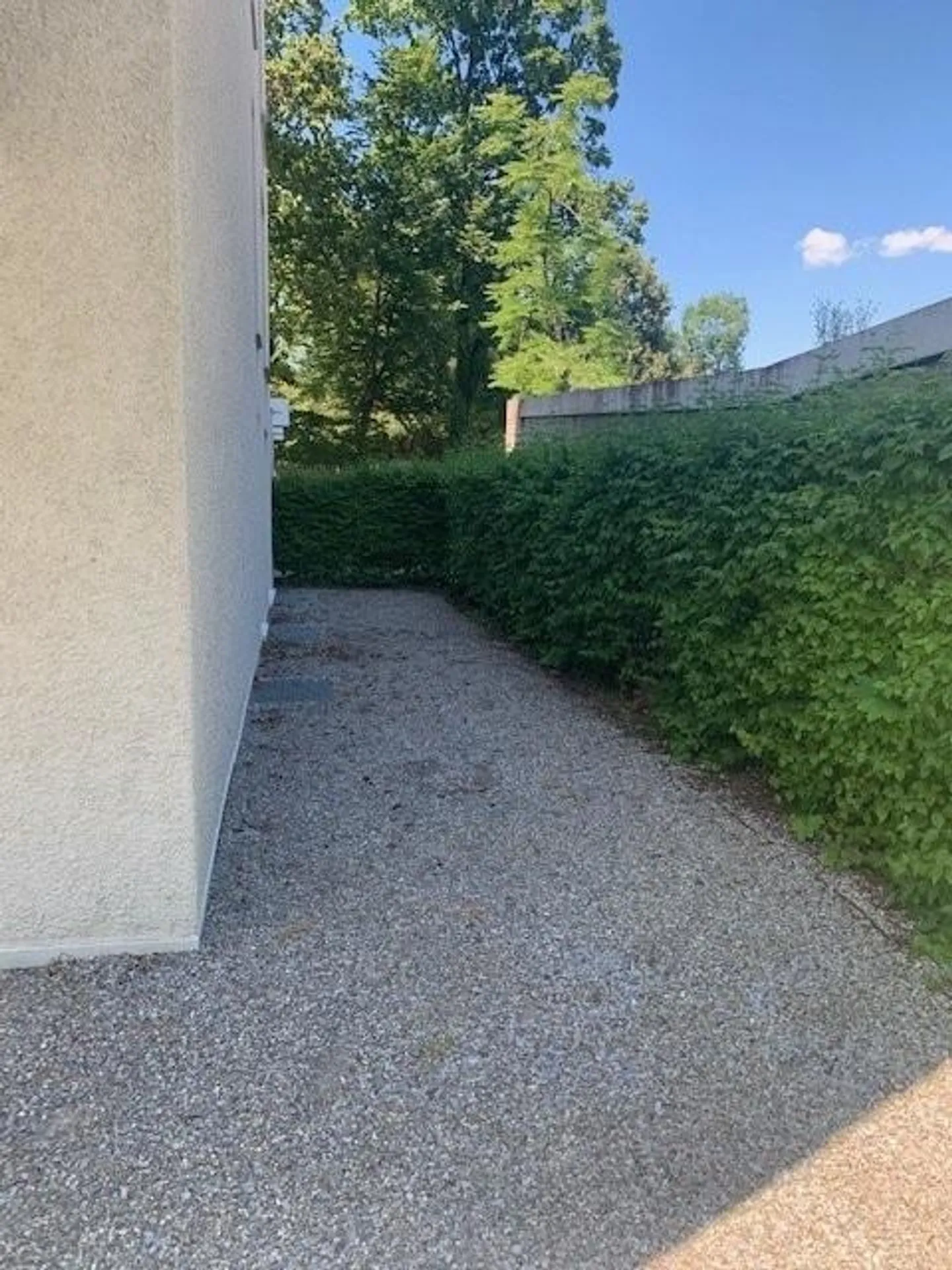 Perfectly located 3.5 room apartment with garden - Photo 7 of 8