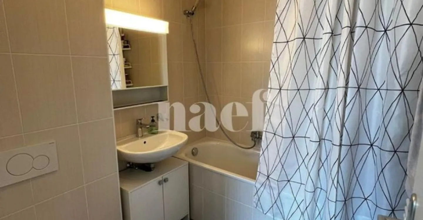 4.5-room duplex with a view of Salève - Photo 8 of 10